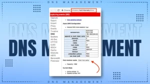 Chrome.//net-internals/DNS: A Deep Dive into DNS Management