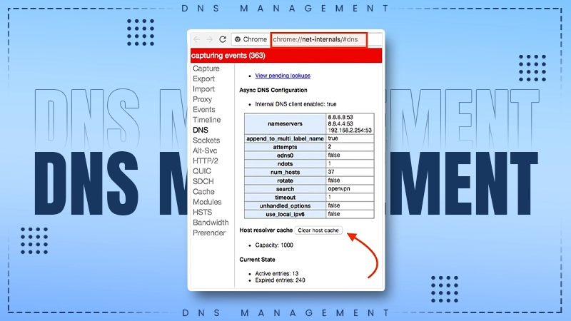 dns management