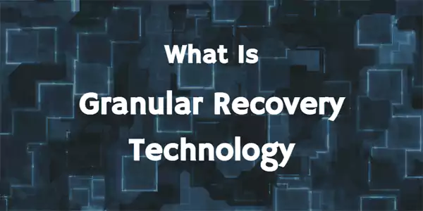 granular recovery technology